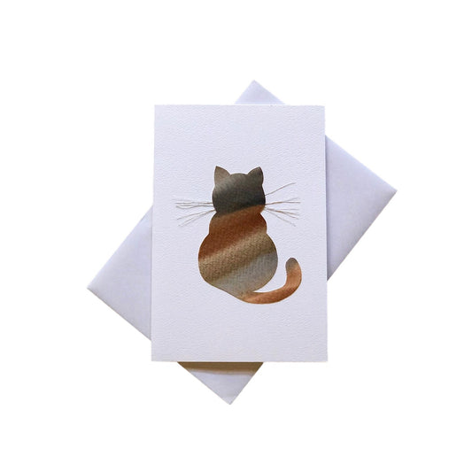 mixed tabby