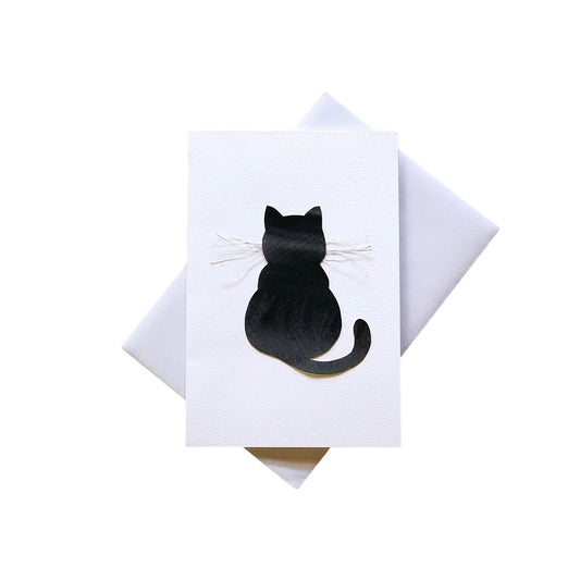 black kitty