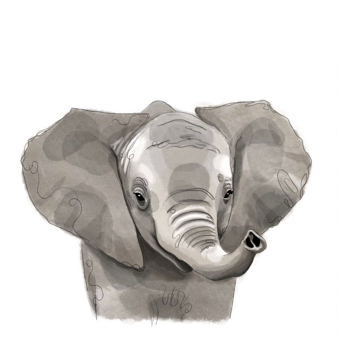 baby elephant