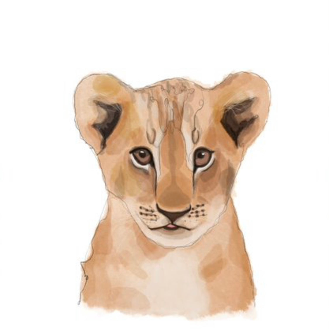 baby lion